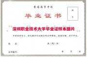 深圳职业技术大学毕业证样本图片