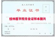 桂林医学院毕业证样本图片