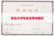青岛大学毕业证样本图片