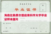 海南比勒费尔德应用科学大学毕业证样本图片