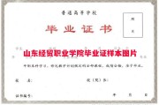 山东经贸职业学院毕业证样本图片