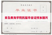 青岛黄海学院历届毕业证样本图片