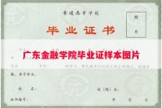 广东金融学院毕业证样本图片