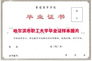 哈尔滨市职工大学毕业证样本图片