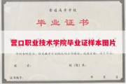 营口职业技术学院毕业证样本图片