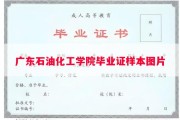 广东石油化工学院毕业证样本图片