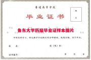 鲁东大学历届毕业证样本图片