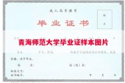 青海师范大学毕业证样本图片