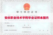 安庆职业技术学院毕业证样本图片