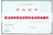 武汉城市职业学院毕业证样本图片