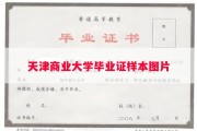 天津商业大学毕业证样本图片