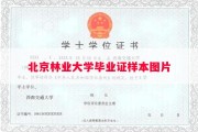 北京林业大学毕业证样本图片