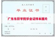 广东东软学院毕业证样本图片