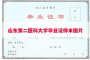 山东第二医科大学毕业证样本图片