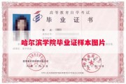 哈尔滨学院毕业证样本图片
