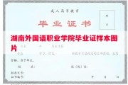 湖南外国语职业学院毕业证样本图片