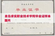 青岛求实职业技术学院毕业证样本图片