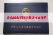 青岛城市学院毕业证样本图片