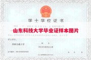山东科技大学毕业证样本图片