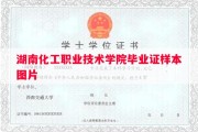 湖南化工职业技术学院毕业证样本图片