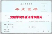 安顺学院毕业证样本图片
