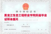 黑龙江生态工程职业学院历届毕业证样本图片