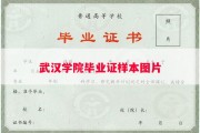 武汉学院毕业证样本图片