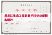 黑龙江生态工程职业学院毕业证样本图片