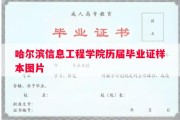 哈尔滨信息工程学院历届毕业证样本图片