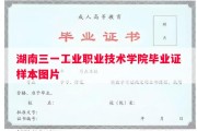 湖南三一工业职业技术学院毕业证样本图片