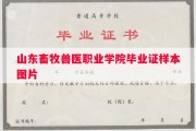 山东畜牧兽医职业学院毕业证样本图片