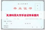 天津科技大学毕业证样本图片