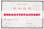聊城职业技术学院毕业证样本图片