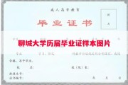 聊城大学历届毕业证样本图片
