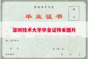 深圳技术大学毕业证样本图片