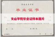 文山学院毕业证样本图片