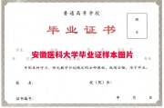 安徽医科大学毕业证样本图片