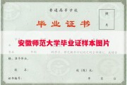 安徽师范大学毕业证样本图片