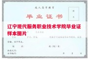 辽宁现代服务职业技术学院毕业证样本图片
