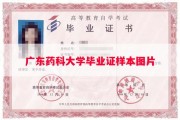 广东药科大学毕业证样本图片
