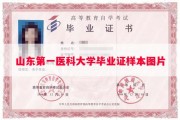山东第一医科大学毕业证样本图片