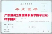 广东潮州卫生健康职业学院毕业证样本图片