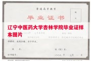 辽宁中医药大学杏林学院毕业证样本图片