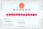 沧州师范学院毕业证样本图片
