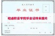 昭通职业学院毕业证样本图片
