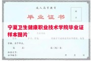 宁夏卫生健康职业技术学院毕业证样本图片