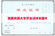西藏民族大学毕业证样本图片