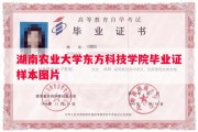 湖南农业大学东方科技学院毕业证样本图片