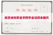 南京城市职业学院毕业证样本图片
