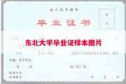 东北大学毕业证样本图片
